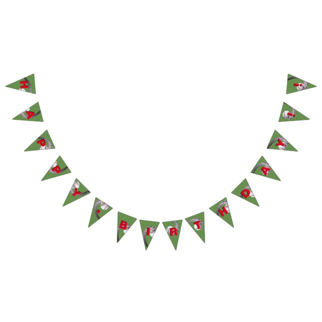 BANDERAS de la bandera del cumpleaños del béisbol (Todo)