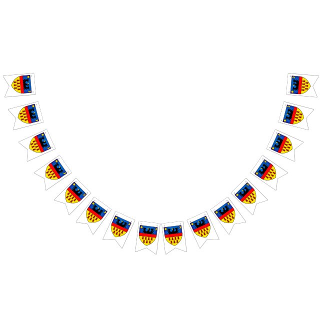 Banderas de Transilvania (Todo)