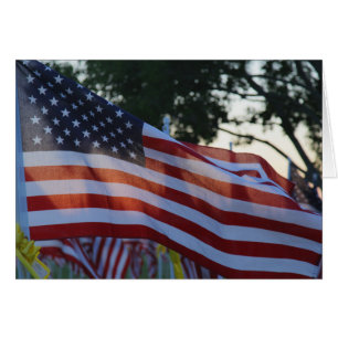 Banderas del Día Conmemorativo de Estados Unidos, 