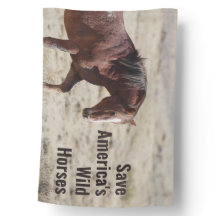 Salvemos a los caballos salvajes de Estados Unidos
