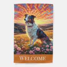 Border Collie en granja