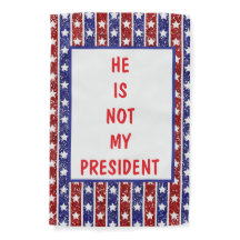 NO ES MI PRESIDENTE DEMOCRACIA MUERTA