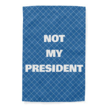 NO MI DEMOCRACIA PRESIDENCIAL FASCISMO