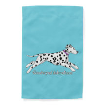 Woodwynd Dalmatians negro e hígado