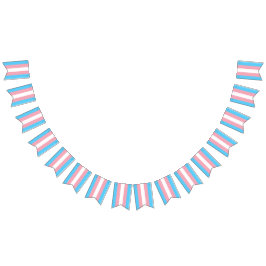 Banderas transgénero de Fiesta de bandera Rótulos 