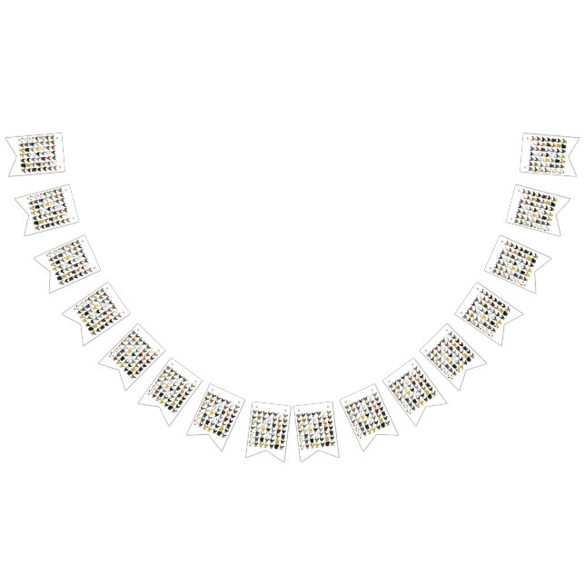 Banderines 49 gallinas (Todo)