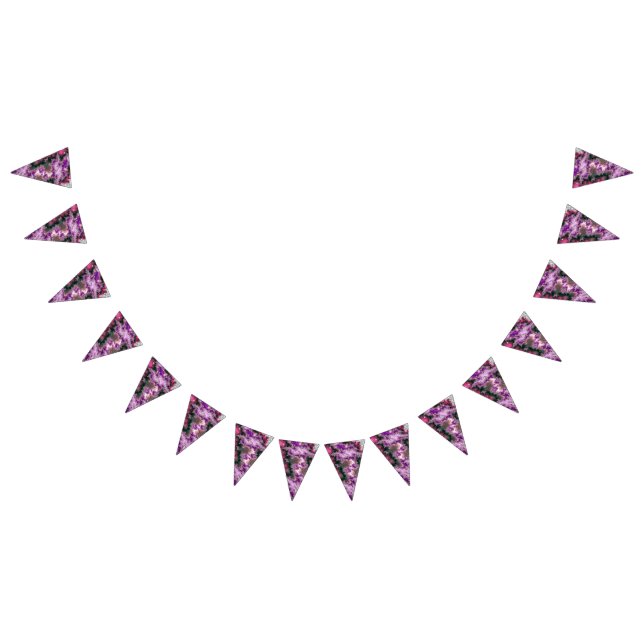 BANDERINES AGUA DE TRANSPORTE (Todo)