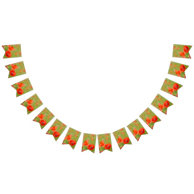 Banderines Amapolas vibrantes en un campo de la amapola (Todo)