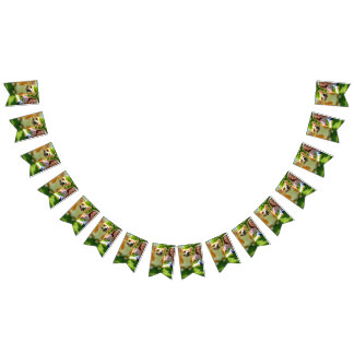 Banderines Añadir Personalizar Mascota de foto personalizada