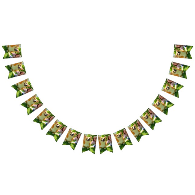 Banderines Añadir Personalizar Mascota de foto personalizada (Todo)