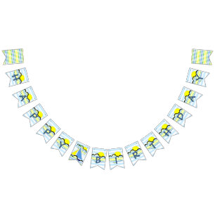 Banderines Asail FELPY BIRTHDAY