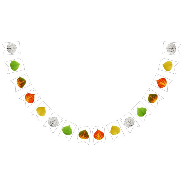 Banderines Aspen Leaves Medley (Todo)