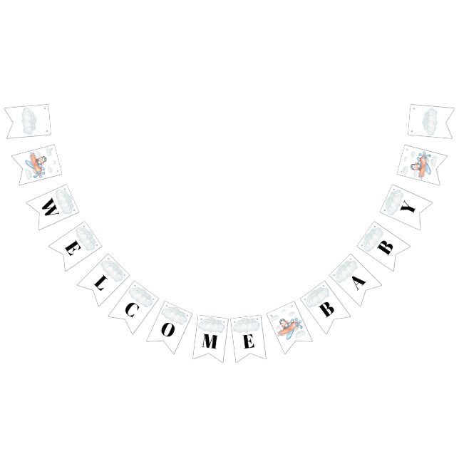 Banderines Avión de bienvenida Baby Shower Penguin (Todo)