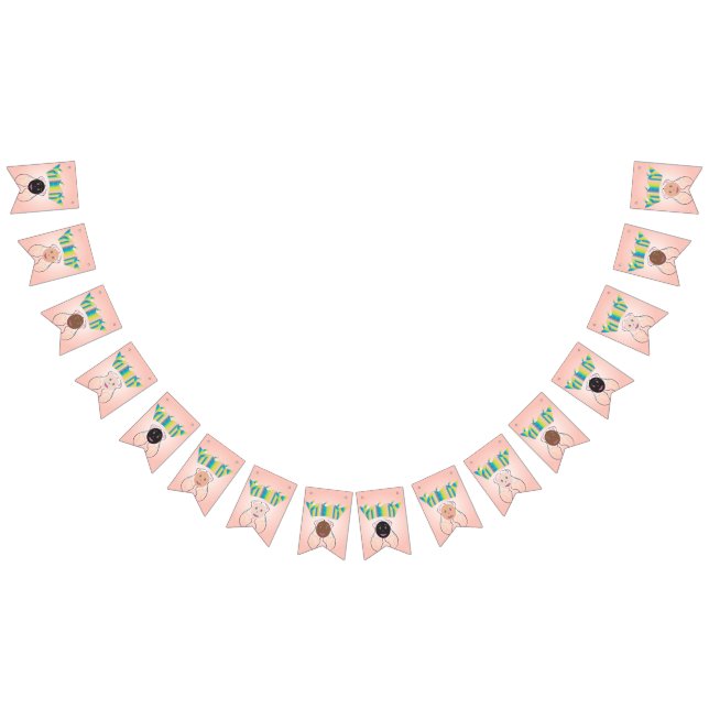 Banderines ¡Bandera de Fiesta de Princesa! (Todo)