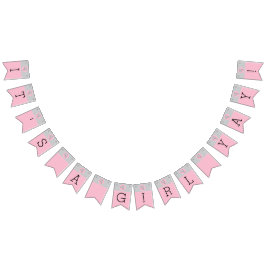 Banderines Banner Baby Shower Pink/Dolphin, Swallowtail