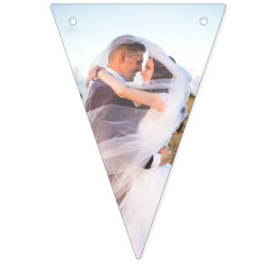 Banderines Banner de agrupamiento de fotos del Rosa del boda 
