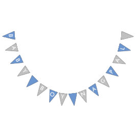 Banderines Banner de Baby Boy Nagpal azul y plata