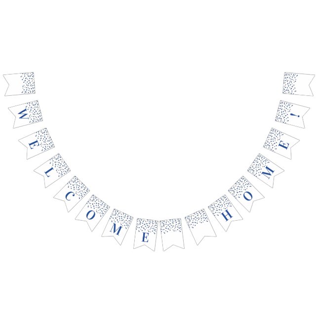 Banderines Banner de bienvenida Blue Silver Confetti (Todo)