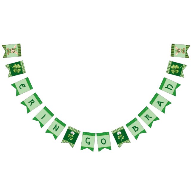 Banderines Banner de bunting de Erin Go Brah (Todo)