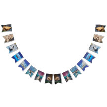 Banner de Bunting Orca