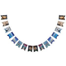 Banderines Banner de Bunting Orca