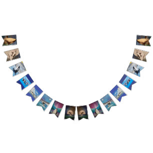 Banderines Banner de Bunting Orca