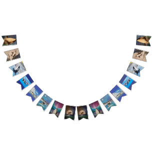 Banderines Banner de Bunting Orca