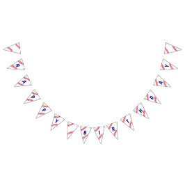 Banderines Banner de cumpleaños del béisbol
