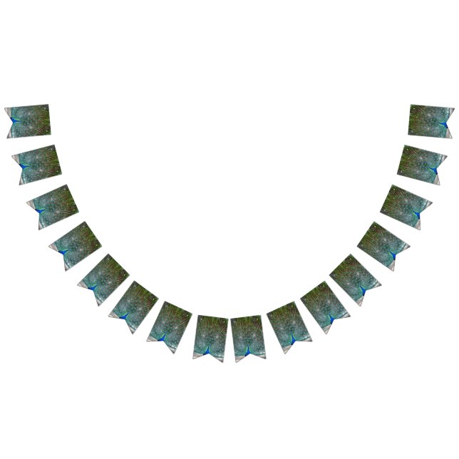 Banderines Banner de Fiesta de diseño de pavo real (Todo)