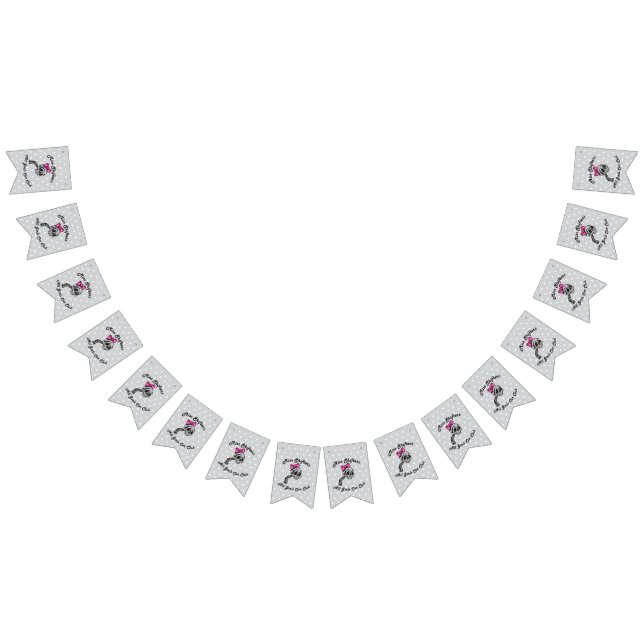 Banderines Banner de Miss Shifters (Todo)