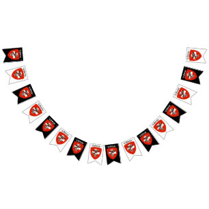 Banderines Banner de Schweiz Fiesta Bunting