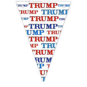 BANDERINES BANNER DEL FIESTA TRUMP