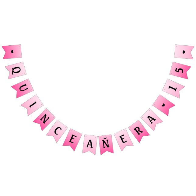 Banderines banner fiesta quinceanera (Todo)