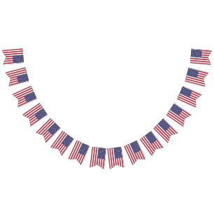Banderines Banner norteamericano estelar