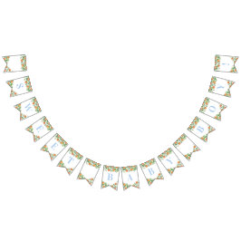 Banderines Bebé dulce Citrus Polvo Azul Baby Shower