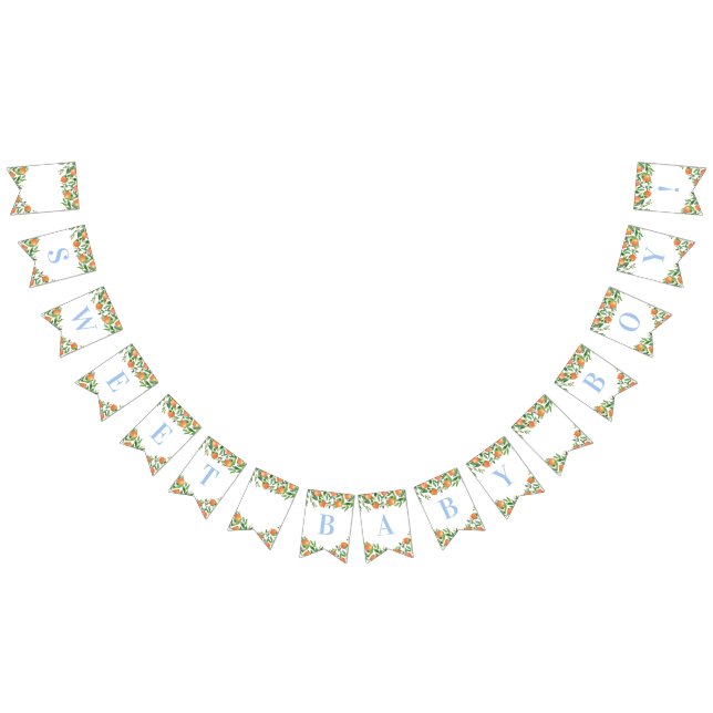 Banderines Bebé dulce Citrus Polvo Azul Baby Shower (Todo)