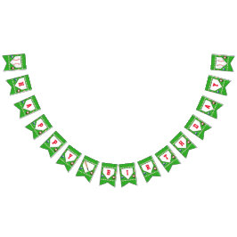 Banderines Béisbol Feliz Cumpleaños