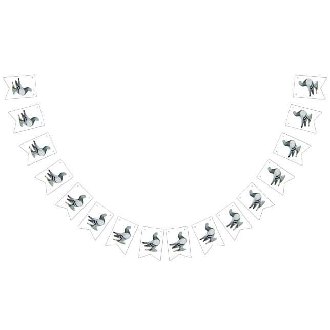 Banderines Berliner Tumbler Pigeon Blue Bar (Todo)