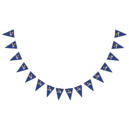 Banderines Biden Harris Fiesta