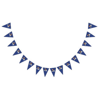 Banderines Biden Harris Fiesta