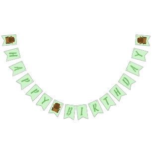 Banderines Bison Buffalo Birthday Party Green