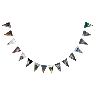 Banderines Blindaje de caballos