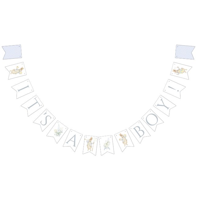 Banderines Blue Gingham Peter the Rabbit Baby Shower MUTED BL (Todo)