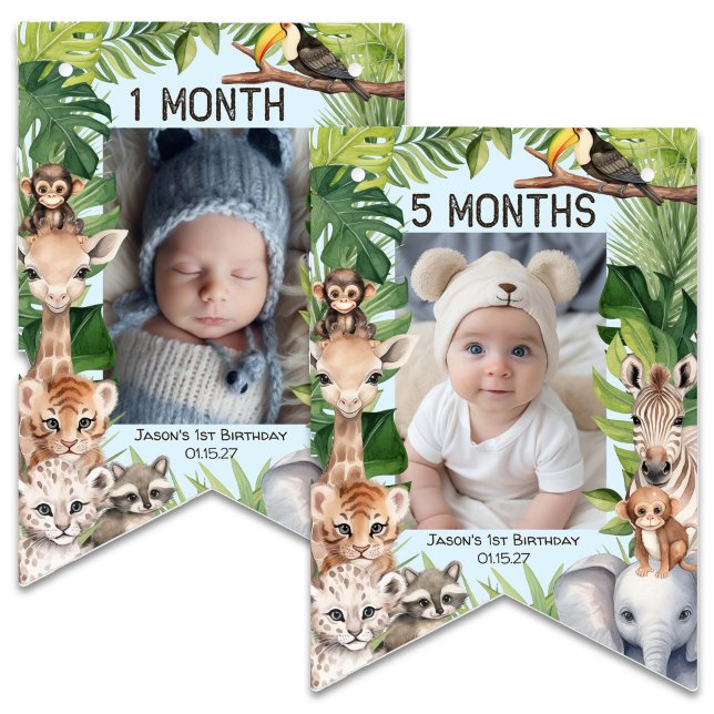 Banderines Blue Wild One Safari Tema de primer cumpleaños Men (Blue Safari Animals, WIld One, Boy 1st birthday monthly photo banner. Birthday keepsake.)