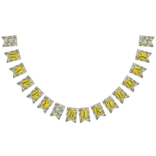 Banderines Bonito Bright Daisy Happy Birday (Todo)
