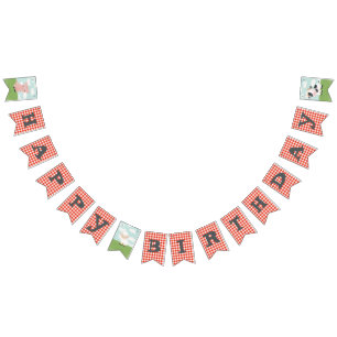 Banderines Boys Barnyard Farm Animals Cumpleaños