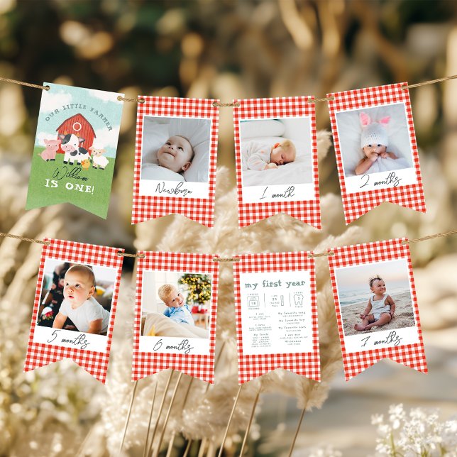 Banderines Boys Cute Farm 1st Birthday Milestone Photo (Subido por el creador)