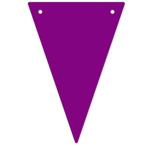 Banderines Bunting: Triangular: multicolor