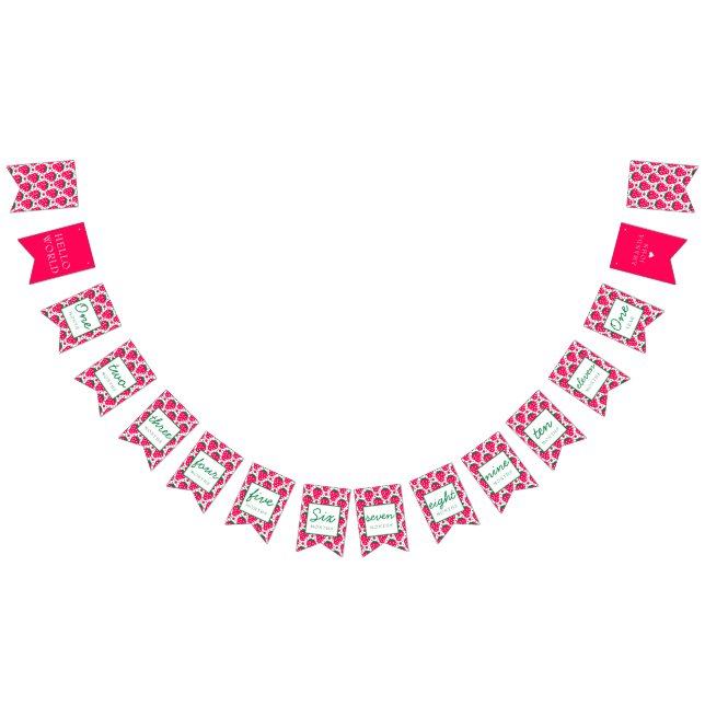 Banderines Chica de fresa Berry 1er cumpleaños Hitos (Todo)