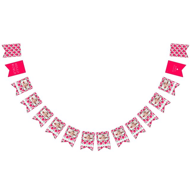 Banderines Chica de fresa Primer cumpleaños Fotos  (Todo)